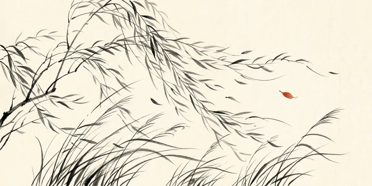 Wind